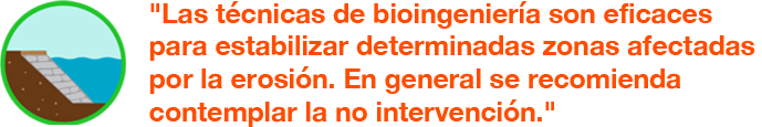 Las técnicas de bioingeniería son eficaces para estabilizar determinadas zonas afectadas por la erosión. En general se recomienda contemplar la no intervención.